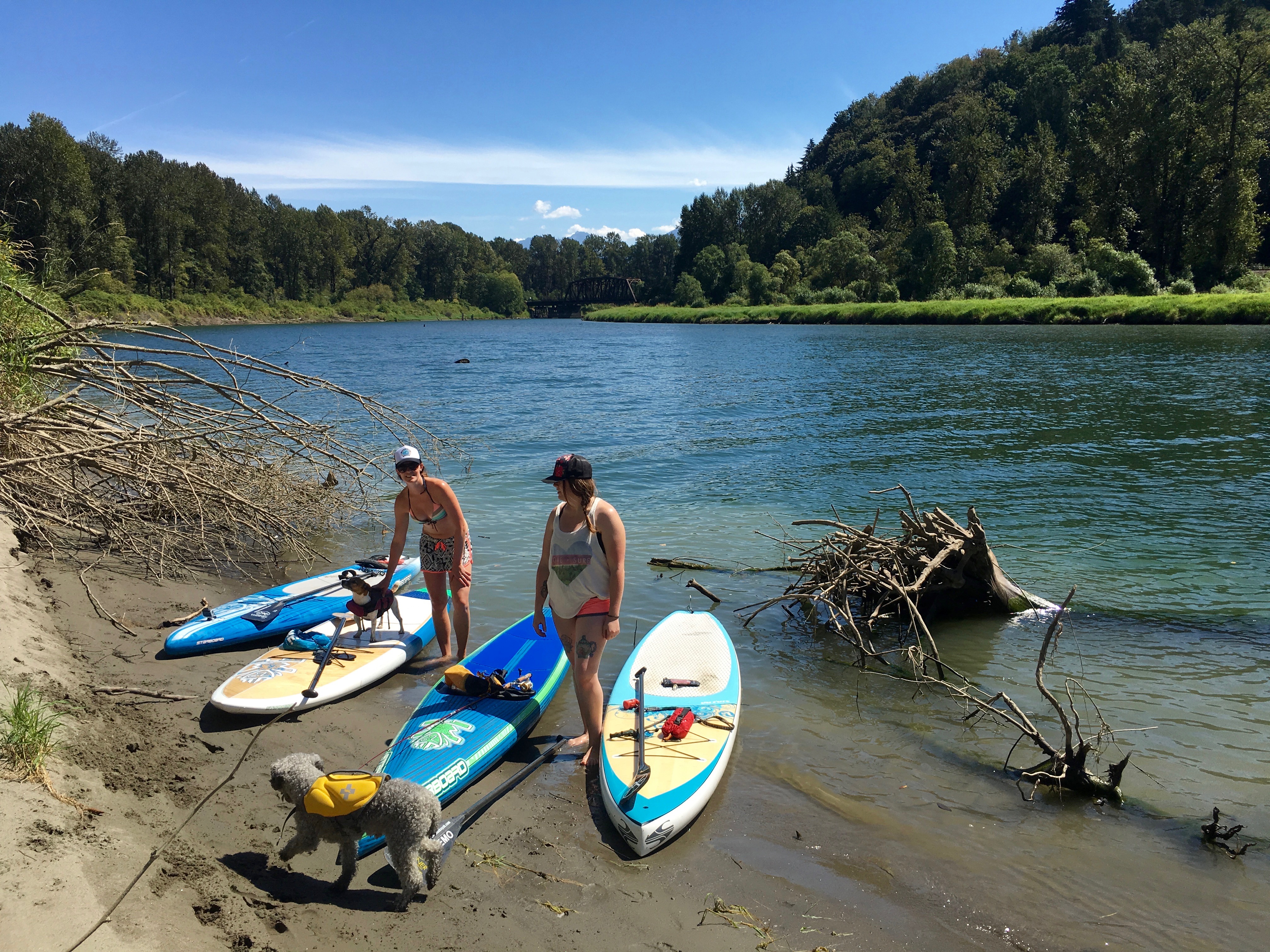 Vedder River Paddle Boarding