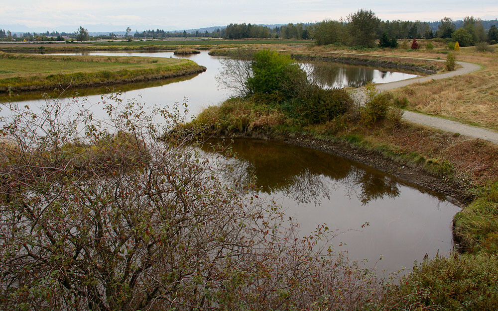 6266570264-d382010948-b.jpg